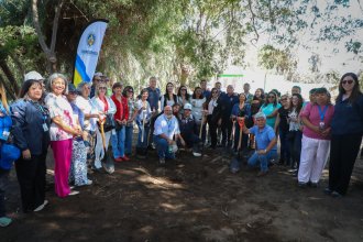 WhatsApp Image 2026-04-02 at 13.06.44 (2).jpeg